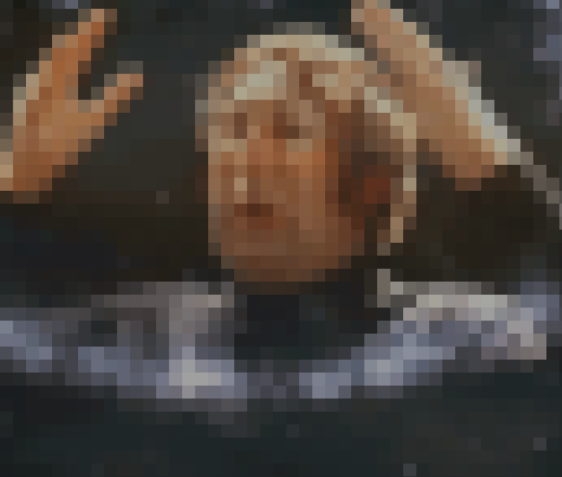 SMFN, Agencia estrategia digital