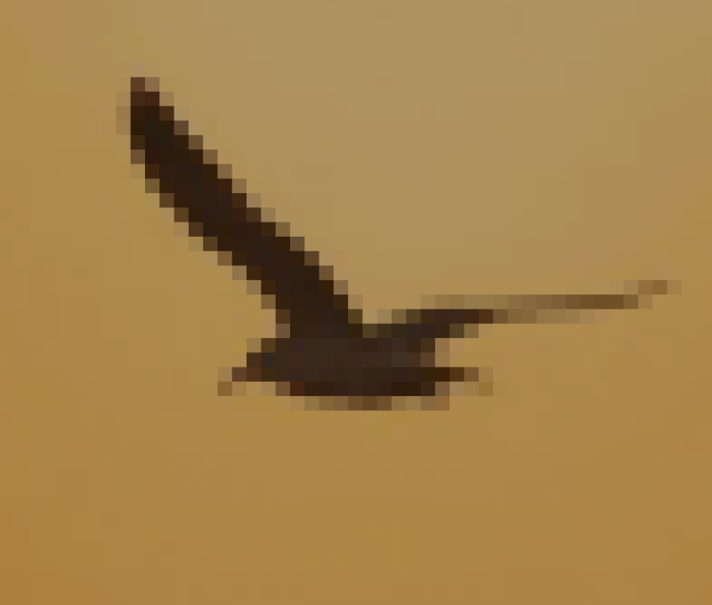 SMFN, Agencia estrategia digital